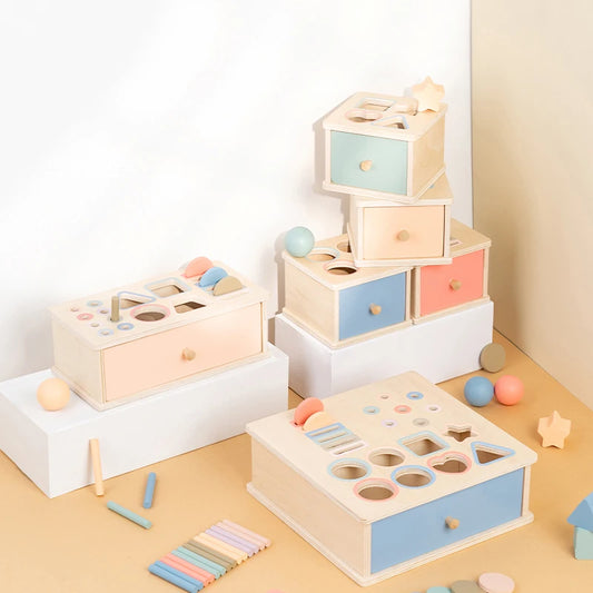 Tiny Genius Board Shape Sorting Drawer Box
